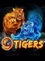 9 tigres